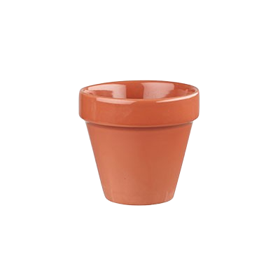 CC-BCPA-PL12.1-2-removebg-preview